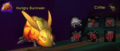 hungry burrower.JPG